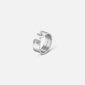 Nouvel Heritage titanium Paris from Sky 8mm ring sz 9
