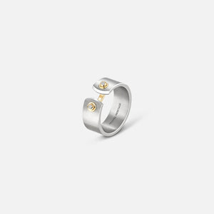 Nouvel Heritage titanium and 18k yellow gold Paris from Sky Mood ring