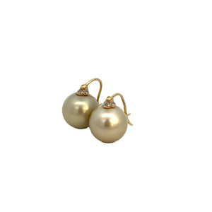 Sable 14k 15mm round Tahitian champagne pearl earrings on french wires